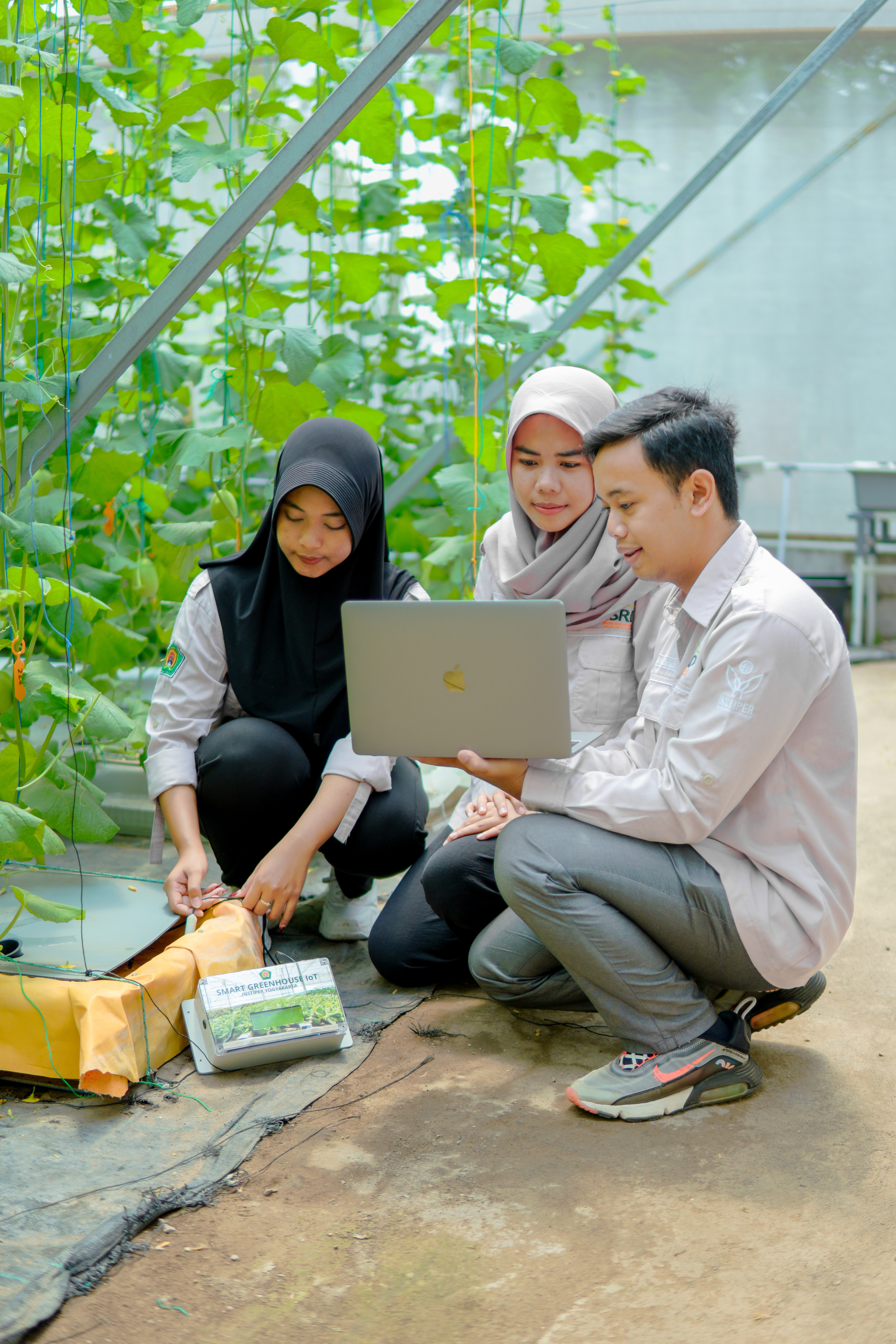 Smart Irrigation IoT