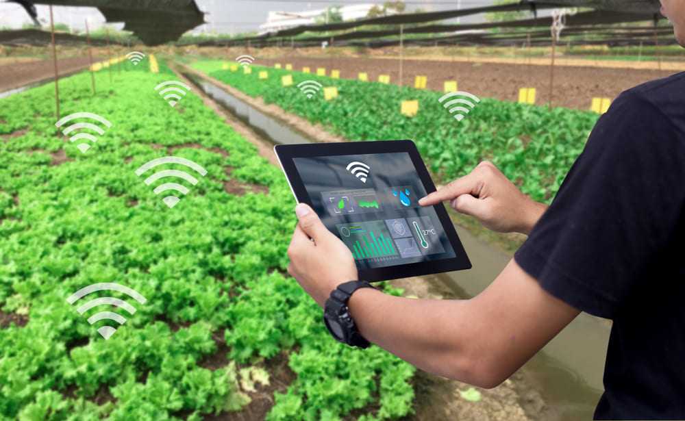 Pelatihan Smart Greenhouse berbasis IoT