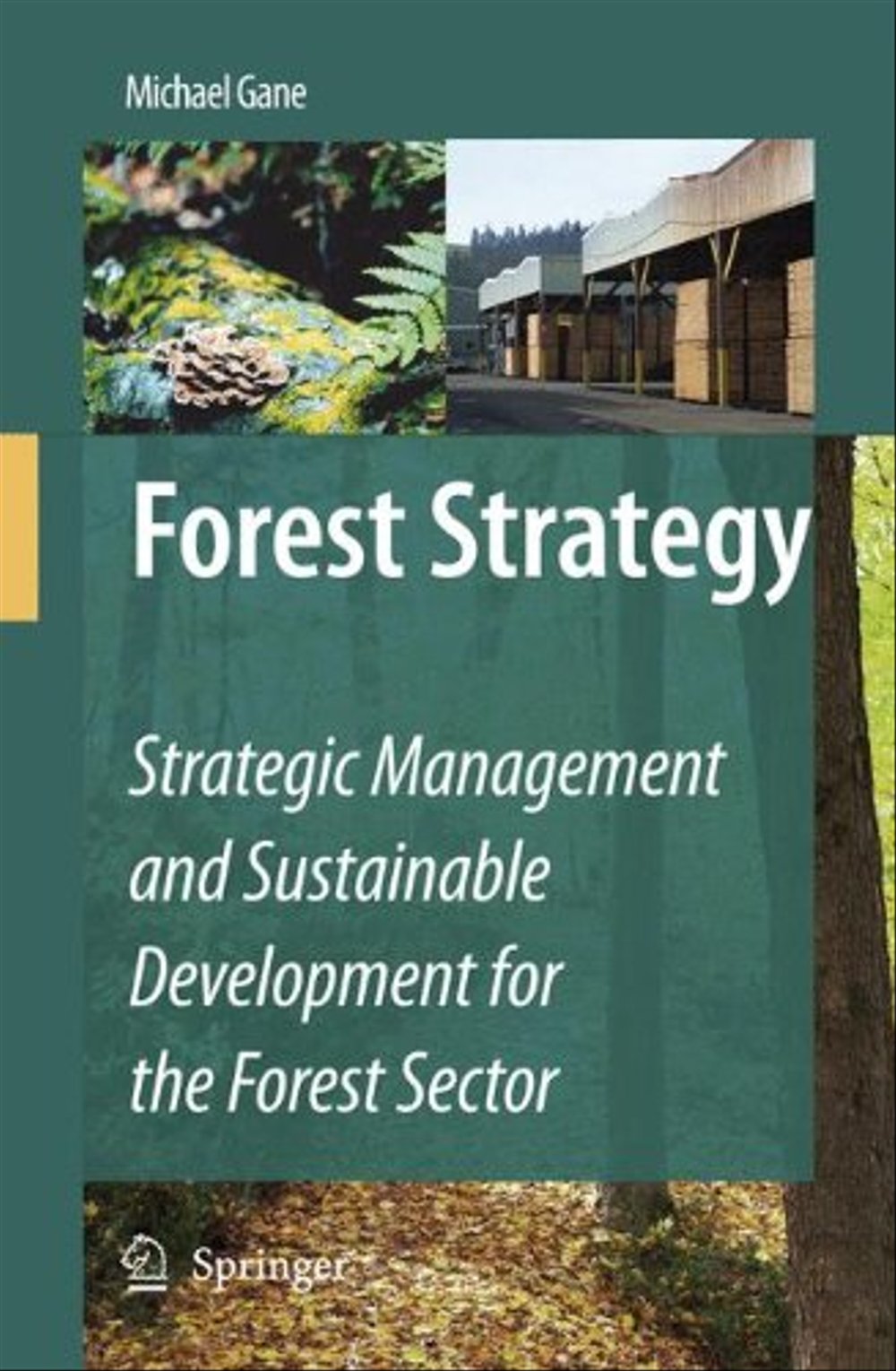 Forest Strategy Strategic Management and Sustainable Development for the Forest Sector