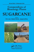 Compendium of
Bioenergy Plants
SUGARCANE