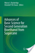 Advances of Basic Science for Second Generation Bioethanol from Sugarcane