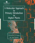 A MOLECULAR APPROACH TO PRIMARY METABOLISM IN HIGHER PLANTS