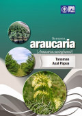 Budidaya Araucaria (Araucaria cuninghamii) Tanaman Asal Papua