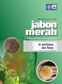 Budidaya Intensif Jabon Merah(Anthocephalus macrophyllus) : Si Jati Kebon dari Timur