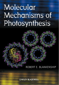 MOLECULAR MECHANISMS OF PHOTOSYNTHESIS