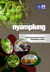 Budidaya Nyamplung (Calophyllum inophyllum L.) untuk Bioenergi dan Prospek Pemanfaatan Lainnya