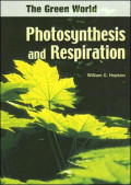 Photosynthesis and respiration the green world