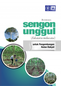 Budidaya Sengon Unggul (Falcataria moluccana) untuk Pengembangan Hutan Rakyat