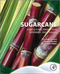 Sugarcane Agricultural Production, Bioenergy, and Ethanol