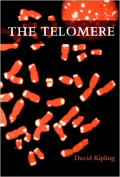 THE TELOMERE