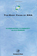 The Many Faces of RNA